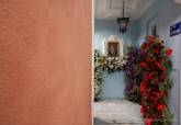 El Callejón de la Soledad luce una ornamentación floral especial con motivo de la Semana Santa