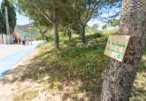Proyecto Ecoacera Carthago, del CEIP Carthago de Vista Alegre
