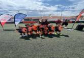 Liga comarcal de ftbol base