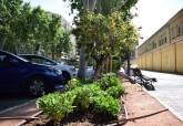 Renovacin de jardineras en le Paseo Alfonso XIII