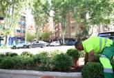 Renovacin de jardineras en le Paseo Alfonso XIII