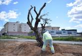 El Ayuntamiento de Cartagena renueva por completo la isleta de la calle Picos de Europa