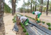 Visita a las obras del Palmeral de Cabo de Palos