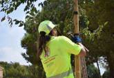 El Ayuntamiento de Cartagena planta m�s de 250 �rboles en lo que va de a�o en zonas como Canteras, La Palma, Pozo Estrecho y Miranda