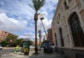 Trabajadores de jardines revisando palmeras este viernes en Alameda de San Ant�n.