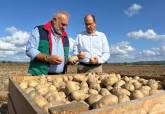 La patata temprana del Campo de Cartagena se muestra en la Feria Agro de Limia en Galicia