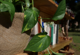 Jardinera para intercambio de libros en el Parque de la Rambla