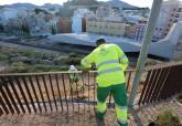 El Ayuntamiento de Cartagena elimina estos d�as planta invasora del talud del Molinete y siembra la zona con esparto.
