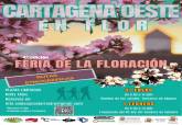 IV feria Cartagena Oeste en Flor