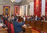 Pleno de la corporaci�n municipal