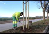 Campa�a municipal de plantaci�n de arbolado