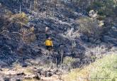 Bomberos de Cartagena intervienen en incendio forestal estabilizado pr�ximo a Cabo Ti�oso