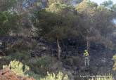 Bomberos de Cartagena intervienen en incendio forestal estabilizado pr�ximo a Cabo Ti�oso