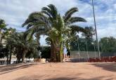 El Ayuntamiento de Cartagena renueva el Palmetum de Ronda de Ferrol para mejorar su conservaci�n y valor paisaj�stico