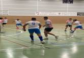 Liga de futbol sala