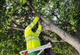 El Ayuntamiento de Cartagena inicia la campa�a de control biol�gico de plagas