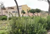 En Santa Luc�a se han plantado 800 romeros y lentiscos. Abril, 2026.