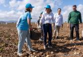 Inicio de la campaña de recogida de la patata de La Puebla