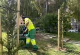 El Ayuntamiento de Cartagena empieza la campa�a de resiembra de c�sped