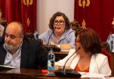 Pleno de la corporaci�n municipal