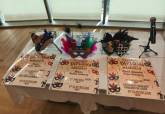 Premios escolares por las mejores m�scaras de Carnaval