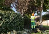 Cartagena intensifica este verano el cuidado de sus zonas verdes con un operativo especial de mantenimiento