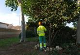 Cartagena intensifica este verano el cuidado de sus zonas verdes con un operativo especial de mantenimiento