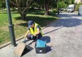 Cartagena refuerza la vigilancia diaria contra las plagas con prevenci�n, control y colaboraci�n ciudadana