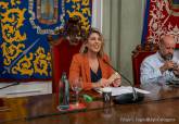 Pleno Municipal Climatizaci�n Colegios