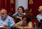 Pleno Municipal Climatizaci�n Colegios