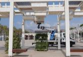 El Ayuntamiento de Cartagena renueva las p�rgolas del puerto con m�s de 600 nuevas plantas