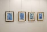 Galeria Bisel