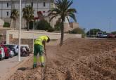 El Ayuntamiento de Cartagena resiembra el c�sped del talud junto al monumento a la Patrulla �guila