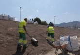 El Ayuntamiento de Cartagena resiembra el c�sped del talud junto al monumento a la Patrulla �guila