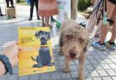 Campa�a de concienciaci�n sobre tenencia responsable de mascotas en Cabo de Palos