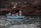 XV J�bega de El Port�s