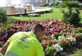 Refuerzo de la ornamentaci�n floral para Carthaginese y Romanos
