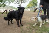 Presentaci�n Feria de Adopciones de Perros y Gatos junto al Cartagonova