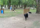 Presentaci�n Feria de Adopciones de Perros y Gatos junto al Cartagonova