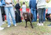 Feria de adopci�n de Perros y Gatos