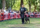 Feria de adopci�n de Perros y Gatos