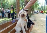 Feria de adopci�n de Perros y Gatos