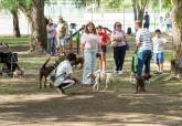 Feria de adopci�n de Perros y Gatos
