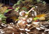 Gran desfile de Carnaval 2011