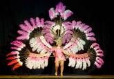 Elecci�n Reina y Damas Carnaval 2013