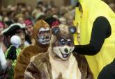 Gala del Carnaval de Nuestros Mayores 2013