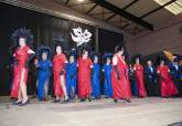 Gala del Carnaval de Nuestros Mayores 2013