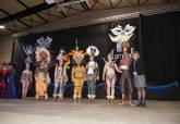 Entrega de premios Carnaval 2013