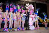 Entrega de premios Carnaval 2013