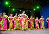 Gala del Carnaval de Mayores 2014